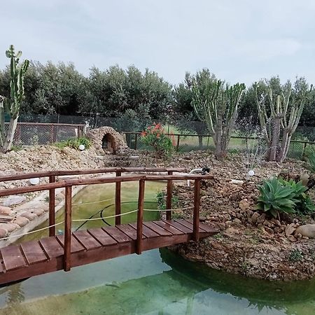 Villa Michelangelo Castellammare del Golfo Exterior foto